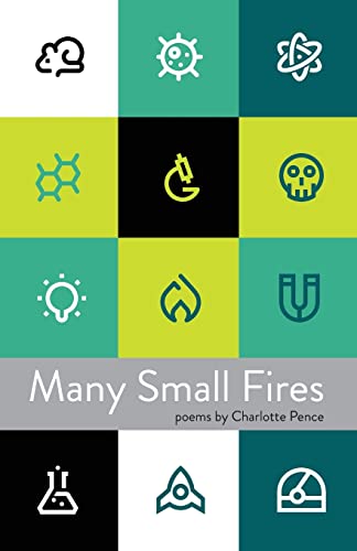 Beispielbild fr Many Small Fires zum Verkauf von Better World Books