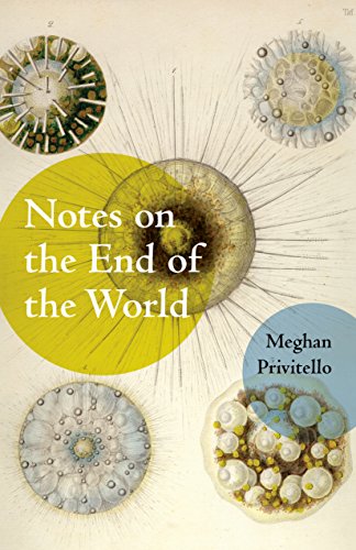 Imagen de archivo de Notes on the End of the World a la venta por Better World Books: West