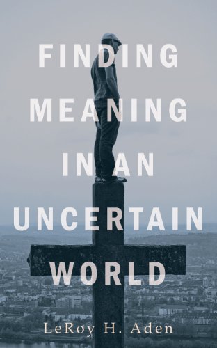 Stock image for Finding Meaning in an Uncertain World for sale by Windows Booksellers