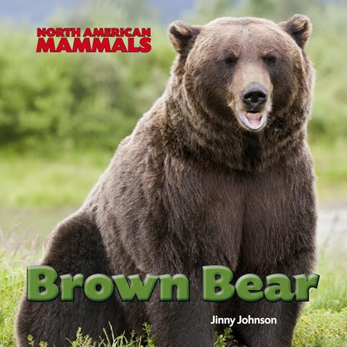 Beispielbild fr Brown Bear zum Verkauf von Better World Books