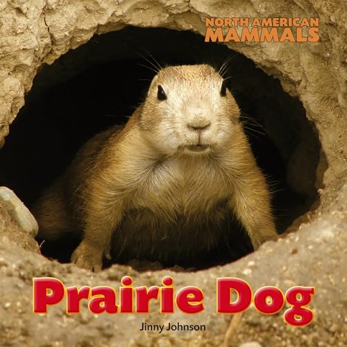9781625880345: Prairie Dog (North American Mammals)