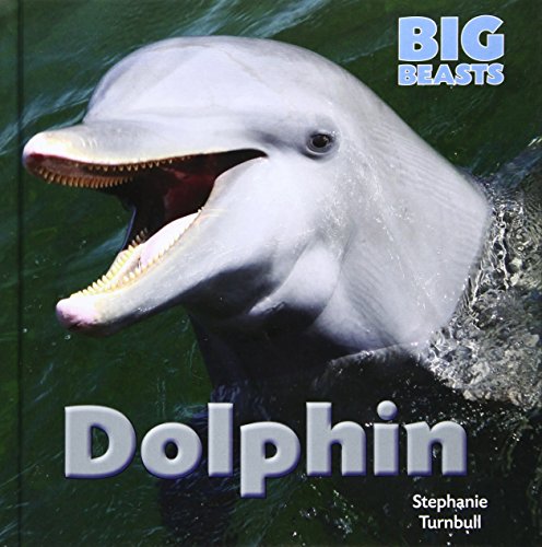 Stock image for Dolphin for sale by ThriftBooks-Atlanta