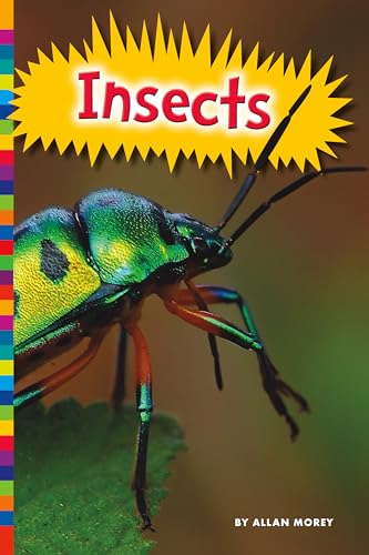Stock image for Insects (Animal Kingdom) for sale by HPB-Emerald
