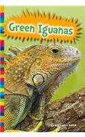 9781625883117: Green Iguanas (Lizards)