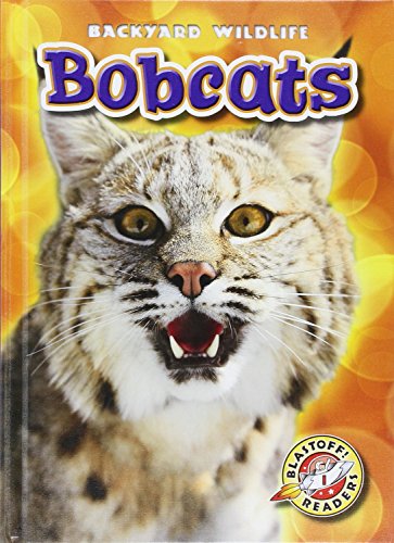 9781626170629: Bobcats (Blastoff Readers, Backyard Wildlife, Level 1)