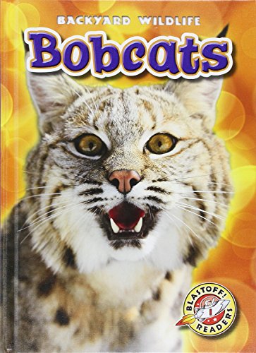 9781626170629: Bobcats