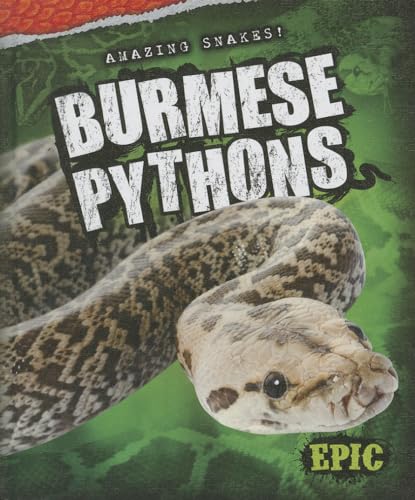 9781626170896: Burmese Pythons