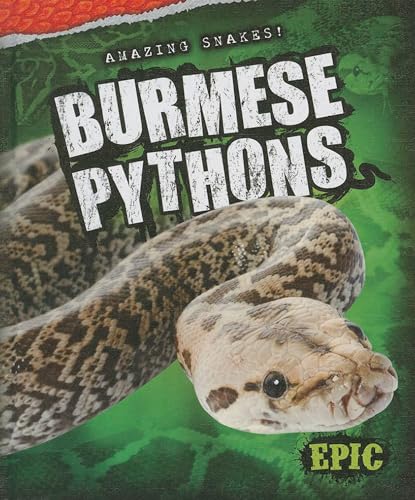 9781626170896: Burmese Pythons (Amazing Snakes!)