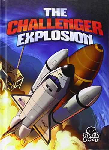 9781626171510: The Challenger Explosion (Disaster Stories)