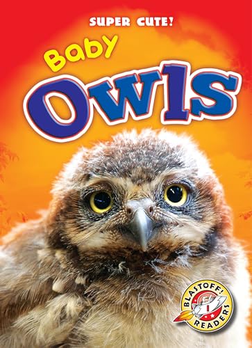 9781626171725: Baby Owls (Blastoff Readers. Level 1)