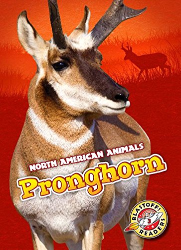 Stock image for Pronghorn (North American Animals) for sale by Jenson Books Inc