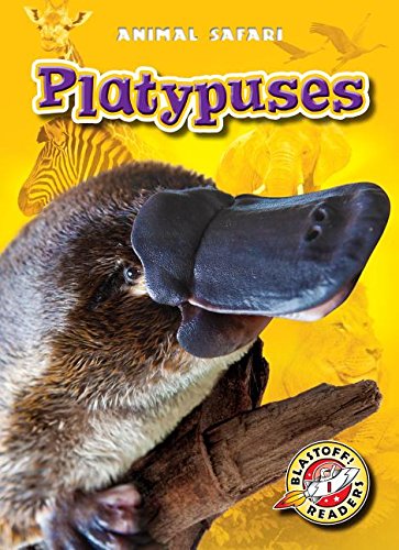Stock image for Platypuses (Animal Safari) for sale by Hawking Books