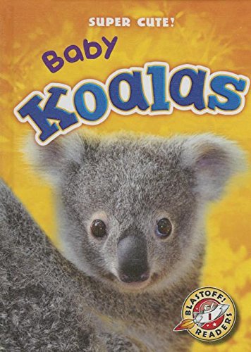 Stock image for Baby Koalas for sale by Better World Books