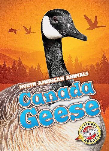 Stock image for Canada Geese (North American Animals) for sale by Once Upon A Time Books