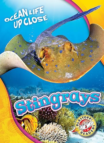 Stock image for Stingrays Ocean Life Up Close for sale by PBShop.store US