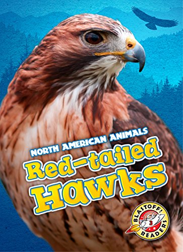 Stock image for Red-tailed Hawks (Blastoff! Readers: North American Animals) (North American Animals: Blastoff Readers, Level 3) for sale by Book Deals