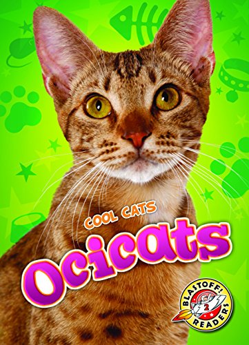 Beispielbild fr Ocicats zum Verkauf von Better World Books