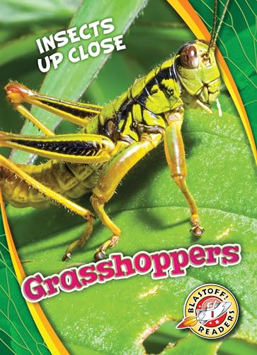 Stock image for Grasshoppers for sale by ThriftBooks-Atlanta