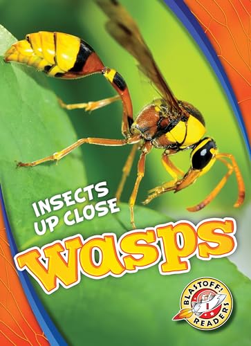 Stock image for Wasps for sale by Better World Books