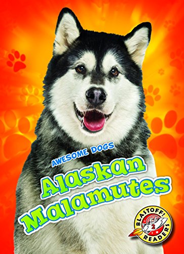 Stock image for Alaskan Malamutes (Awesome Dogs) for sale by Wonder Book