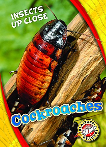 Stock image for Cockroaches (Insects Up Close) for sale by ZBK Books