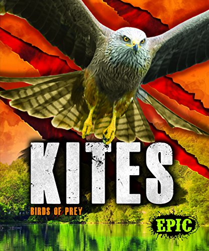 9781626178779: Kites: Birds of Prey