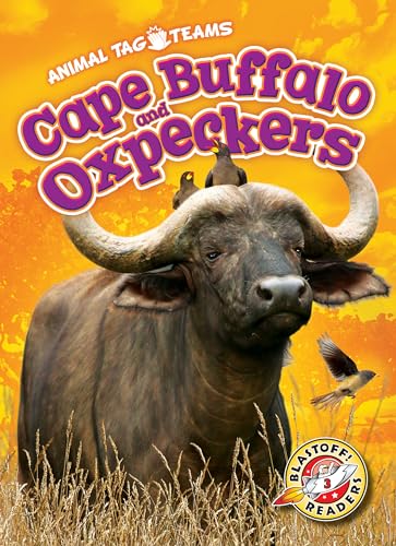 Stock image for Cape Buffalo and Oxpeckers (Animal Tag Teams) for sale by SecondSale