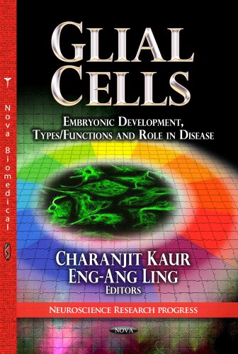 Stock image for GLIAL CELLS (Neuroscience Research Progress: Cells Biology Research Progress) for sale by Orbiting Books