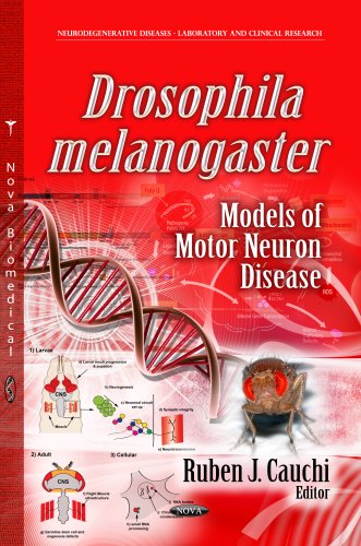 Beispielbild fr Drosophila Melanogaster Models of Motor Neuron Disease zum Verkauf von Buchpark