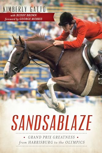 Beispielbild fr Sandsablaze:: Grand Prix Greatness from Harrisburg to the Olympics (Sports) zum Verkauf von Decluttr