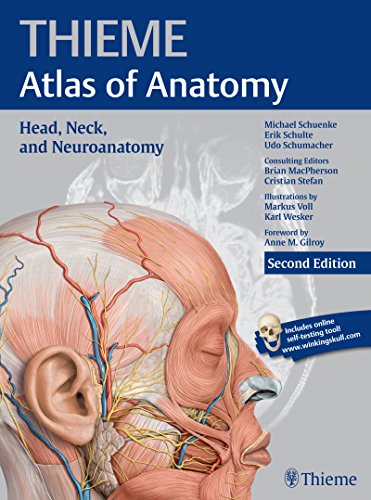 9781626231207: Head, Neck, and Neuroanatomy (THIEME Atlas of Anatomy)