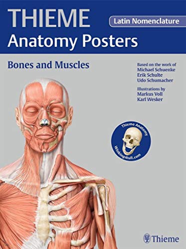 Imagen de archivo de THIEME Anatomy Posters Bones and Muscles, Latin Nomeclature a la venta por Books of the Smoky Mountains