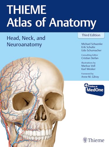 Beispielbild fr Head, Neck, and Neuroanatomy (THIEME Atlas of Anatomy) (THIEME Atlas of Anatomy, 3) zum Verkauf von BooksRun