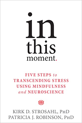 Beispielbild fr In This Moment : Five Steps to Transcending Stress Using Mindfulness and Neuroscience zum Verkauf von Better World Books