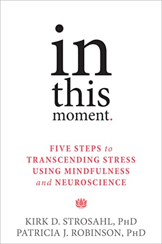 9781626251274: In This Moment: Five Steps to Transcending Stress Using Mindfulness and Neuroscience