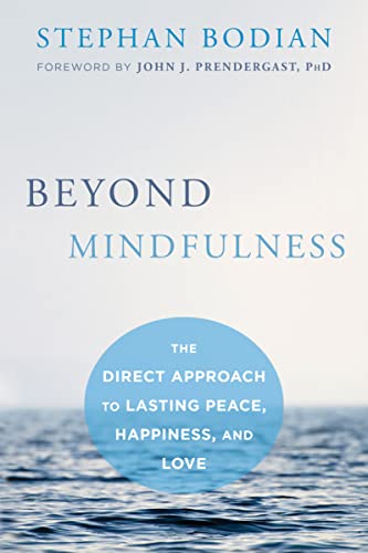 Imagen de archivo de Beyond Mindfulness: The Direct Approach to Lasting Peace, Happiness, and Love a la venta por Revaluation Books