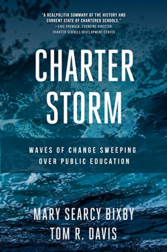 Stock image for Charter Storm: Waves of Change Sweeping over Public Education for sale by HPB Inc.