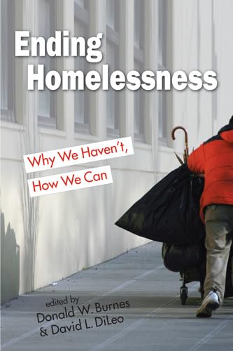 Stock image for Ending Homelessness: Why We Haven't, How We Can (Points of View) for sale by Open Books