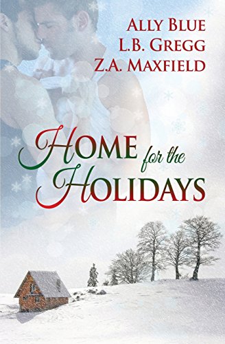 9781626490833: Home for the Holidays