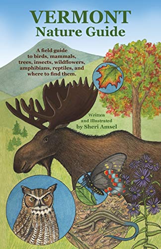 9781626549432: Vermont Nature Guide: A field guide to birds, mammals, trees, insects, wildflowers, amphibians, reptiles, and where to find them