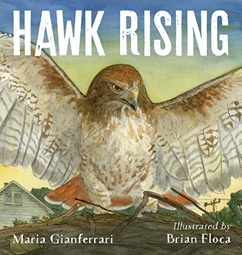 Beispielbild fr Hawk Rising zum Verkauf von Better World Books