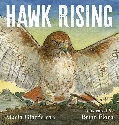 Stock image for Hawk Rising for sale by ZBK Books