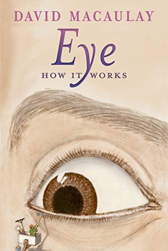 9781626722125: Eye: How It Works