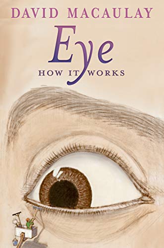Imagen de archivo de Eye: How It Works a la venta por HPB-Emerald