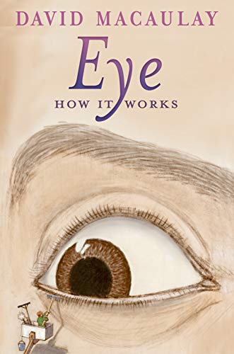 9781626722132: Eye: How It Works