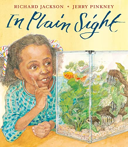 Beispielbild fr In Plain Sight zum Verkauf von Blue Marble Books LLC