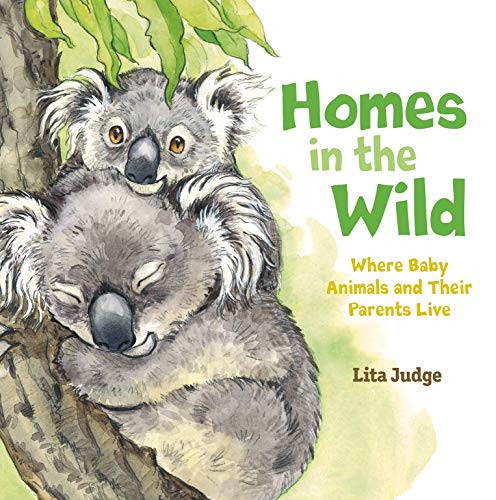 Beispielbild fr Homes in the Wild : Where Baby Animals and Their Parents Live zum Verkauf von Better World Books