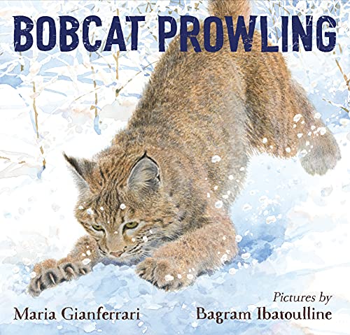 Beispielbild fr Bobcat Prowling zum Verkauf von Blackwell's