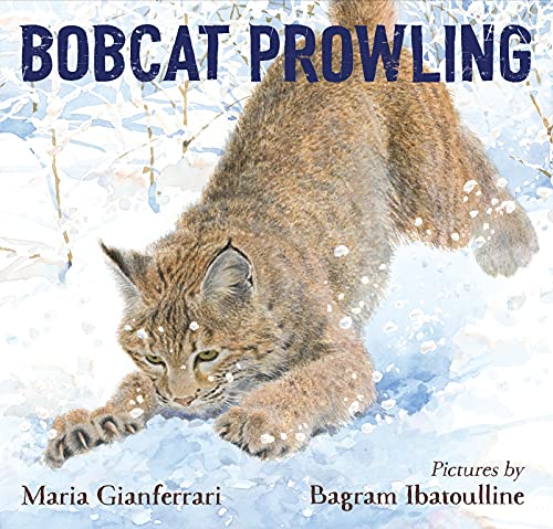 Stock image for Bobcat Prowling for sale by -OnTimeBooks-