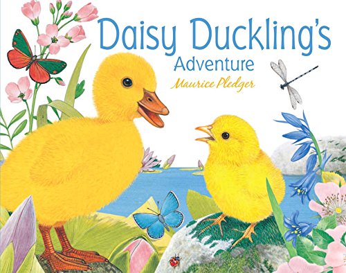 9781626860155: Daisy Duckling's Adventure (Friendship Tales)